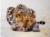 Leopards in Chinese Silk Embroidery Art