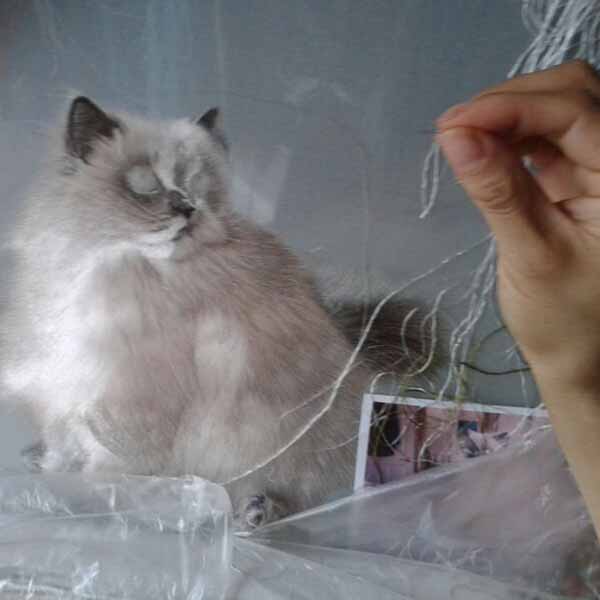 Chinese Embroidery Artist at SES Embroidering a Custom Made Silk Embroidery of  Cat from a Customer's Photo