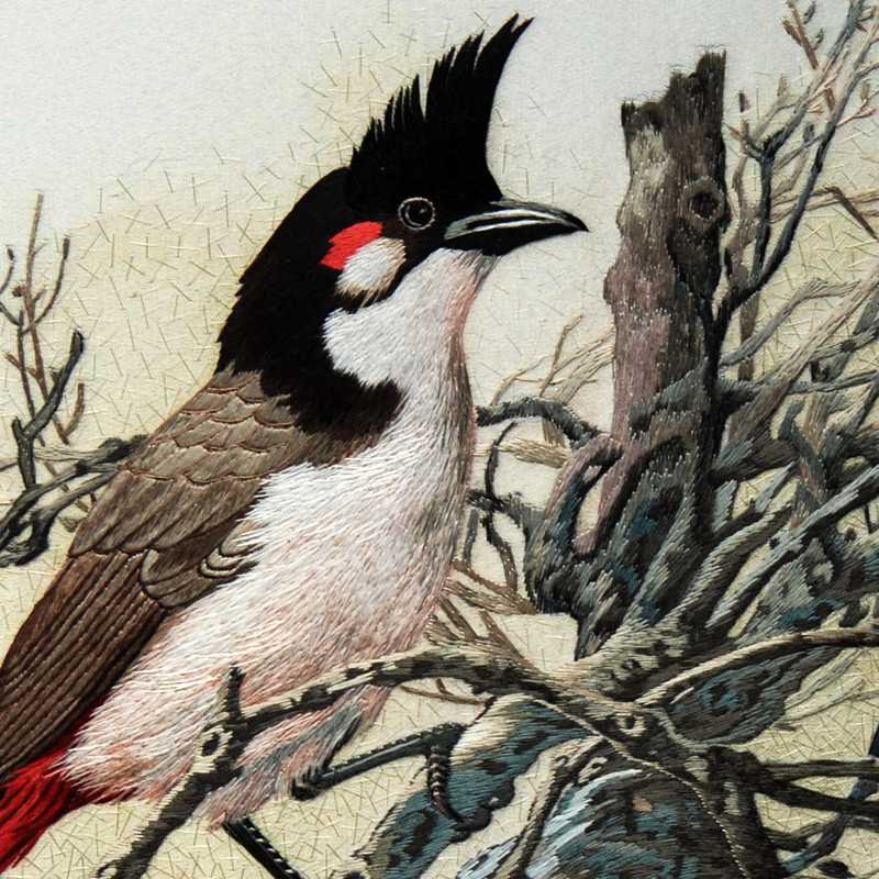 closeup of Red-whiskered Bulbul bird chinese silk embroidery