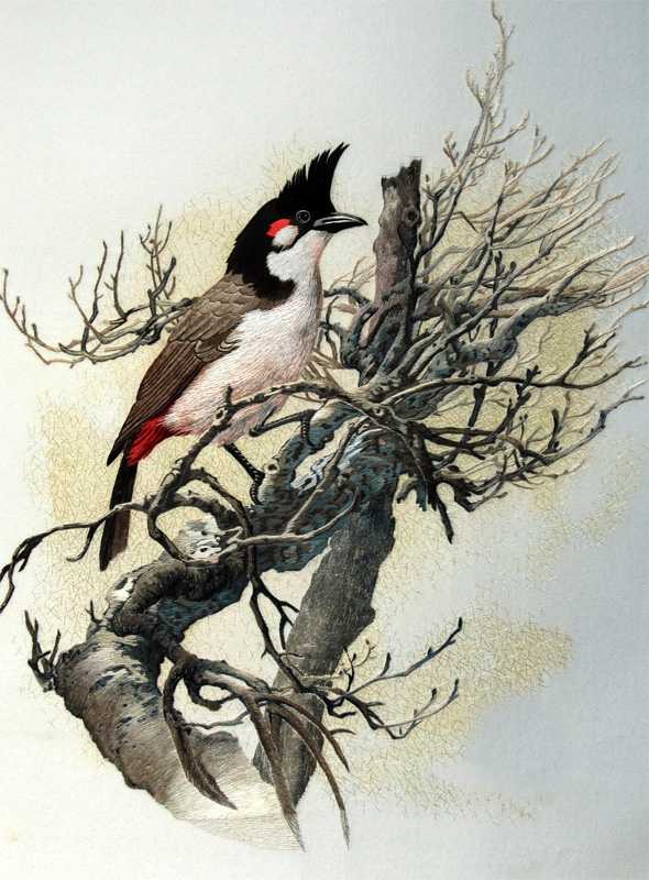 Red-whiskered Bulbul bird chinese silk embroidery