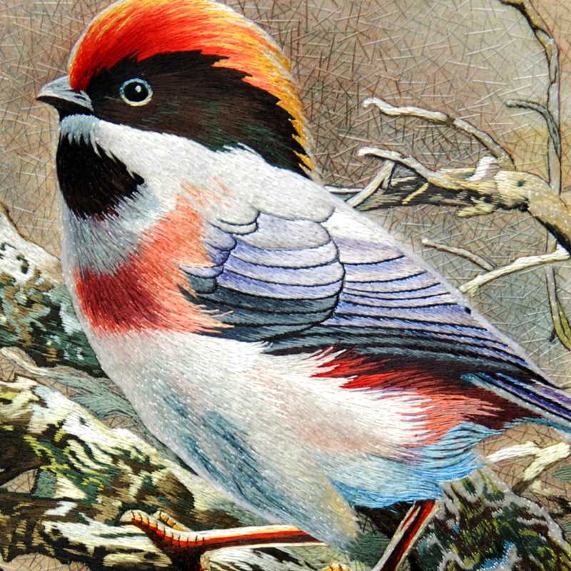 closeup of Redstart bird Chinese silk embroidery
