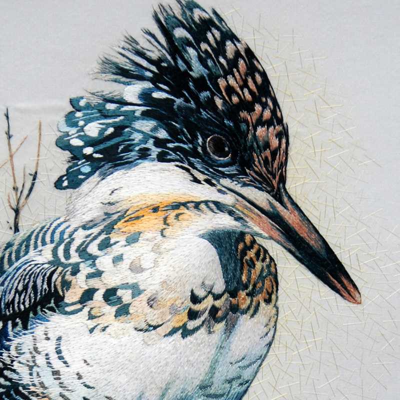 closeup of hoopoe bird chinese silk embroidery