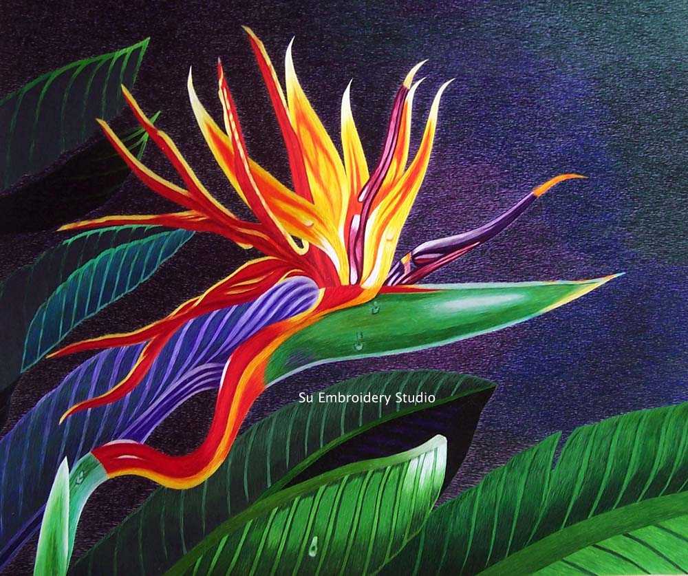 silk embroidery 'bird of paradise'