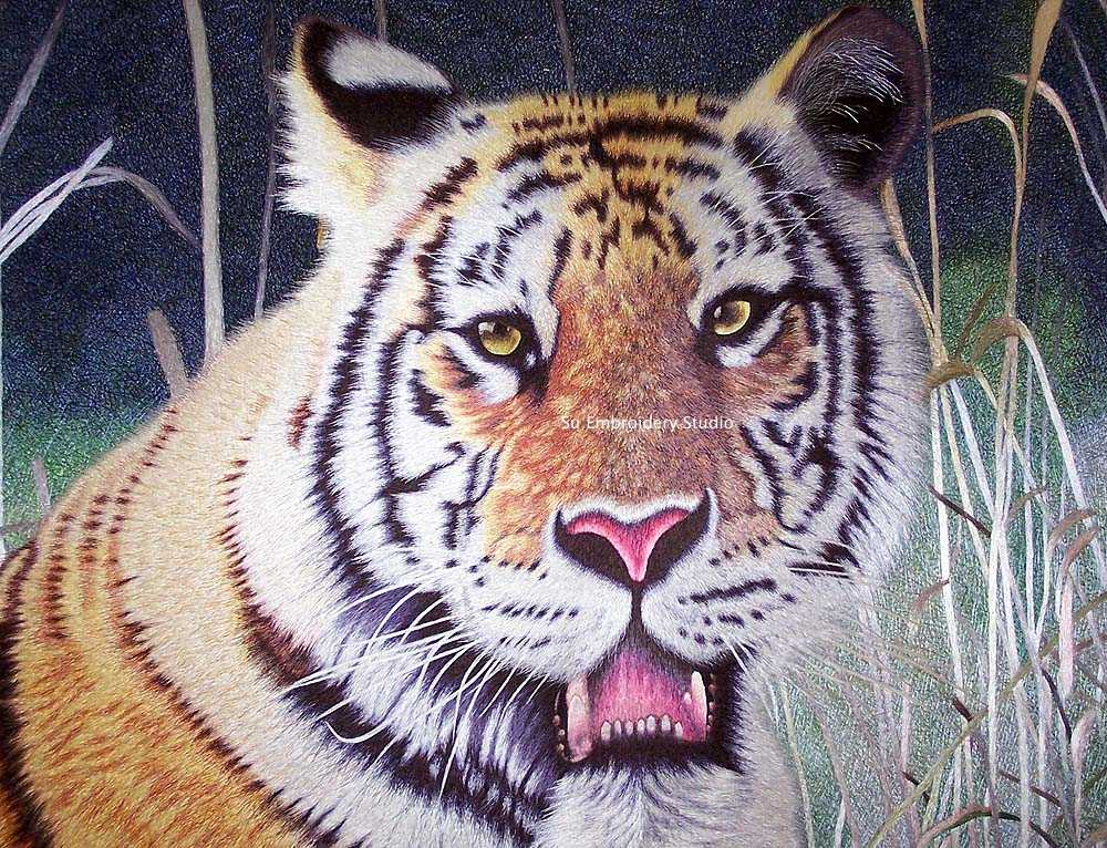 closeup of chinese silk embroidery 'tiger in grass'