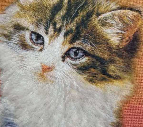 wool thread embroidery 'kitten'