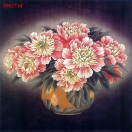 EM00037