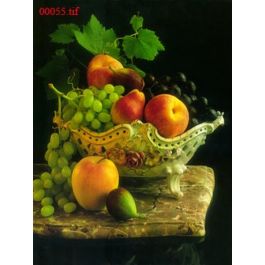 EM00055