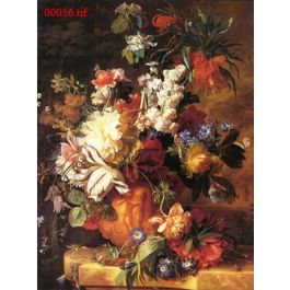 EM00056