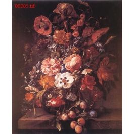 EM00205
