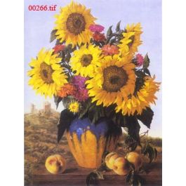 EM00266