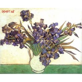 EM00497