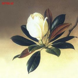 EM00706