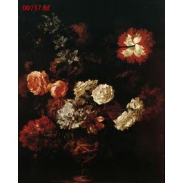 EM00737