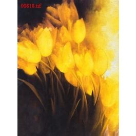 EM00818