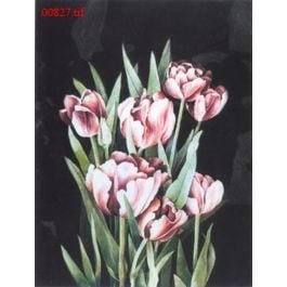 EM00827