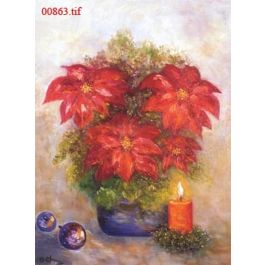 EM00863