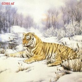 EM02001