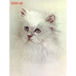 EM02031
