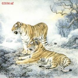 EM02036
