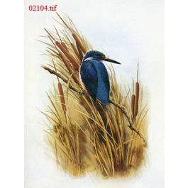 EM02104