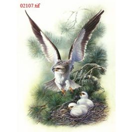 EM02107