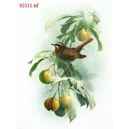 EM02111