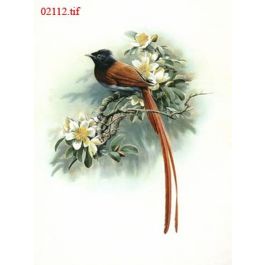EM02112