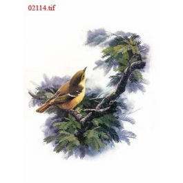 EM02114