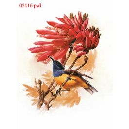 EM02116