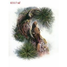 EM02117