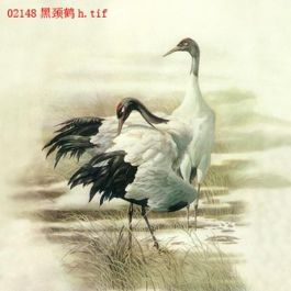 EM02148