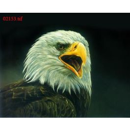 EM02153