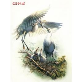 EM02164