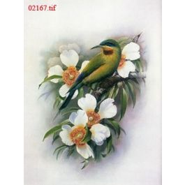 EM02167