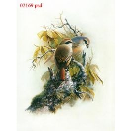 EM02169
