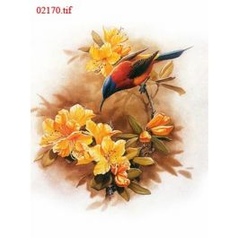 EM02170