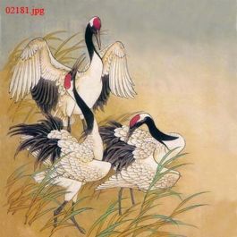 EM02181