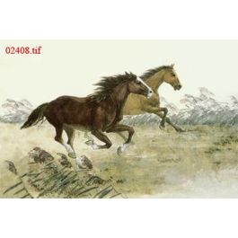 EM02408