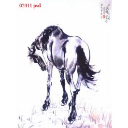 EM02411