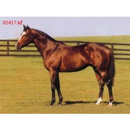 EM02417