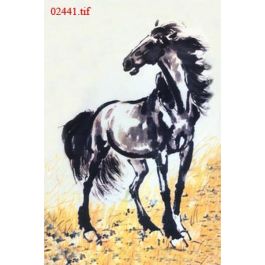 EM02441