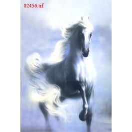 EM02456