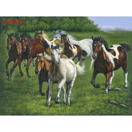 EM02466