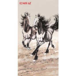 EM02469