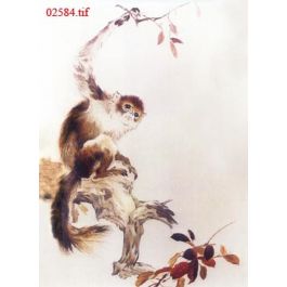 EM02584