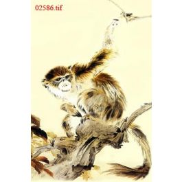 EM02586