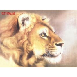EM02750g