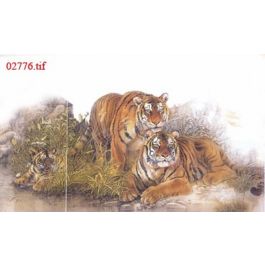 EM02776