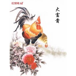 EM02898