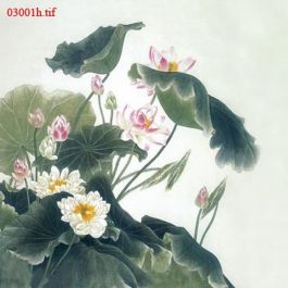 EM03001h